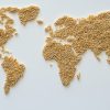 Die in Form einer Weltkarte angeordneten Haferkörner symbolisieren die Bedeutung der Landwirtschaft und der Lebensmittelressourcen auf globaler Ebene und verdeutlichen die Notwendigkeit nachhaltiger Lebensmittelsysteme