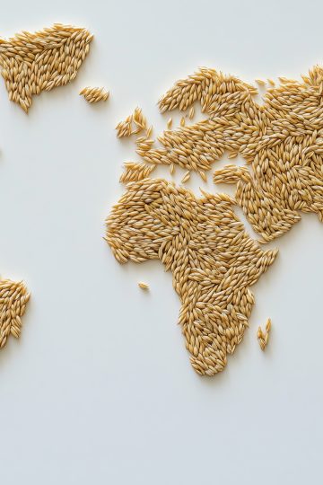 Die in Form einer Weltkarte angeordneten Haferkörner symbolisieren die Bedeutung der Landwirtschaft und der Lebensmittelressourcen auf globaler Ebene und verdeutlichen die Notwendigkeit nachhaltiger Lebensmittelsysteme