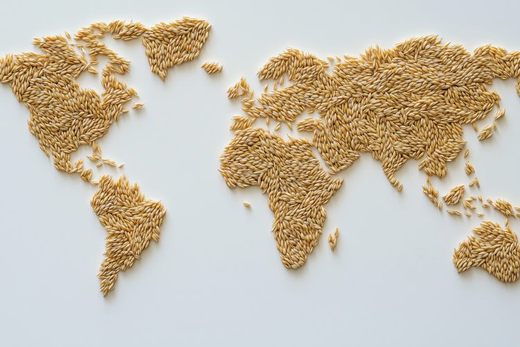 Die in Form einer Weltkarte angeordneten Haferkörner symbolisieren die Bedeutung der Landwirtschaft und der Lebensmittelressourcen auf globaler Ebene und verdeutlichen die Notwendigkeit nachhaltiger Lebensmittelsysteme
